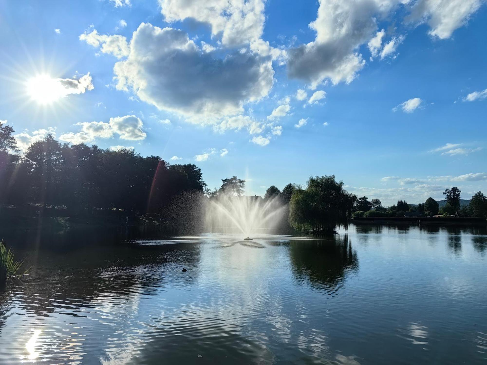 Willa San Remo Kudowa-Zdrój Exteriör bild