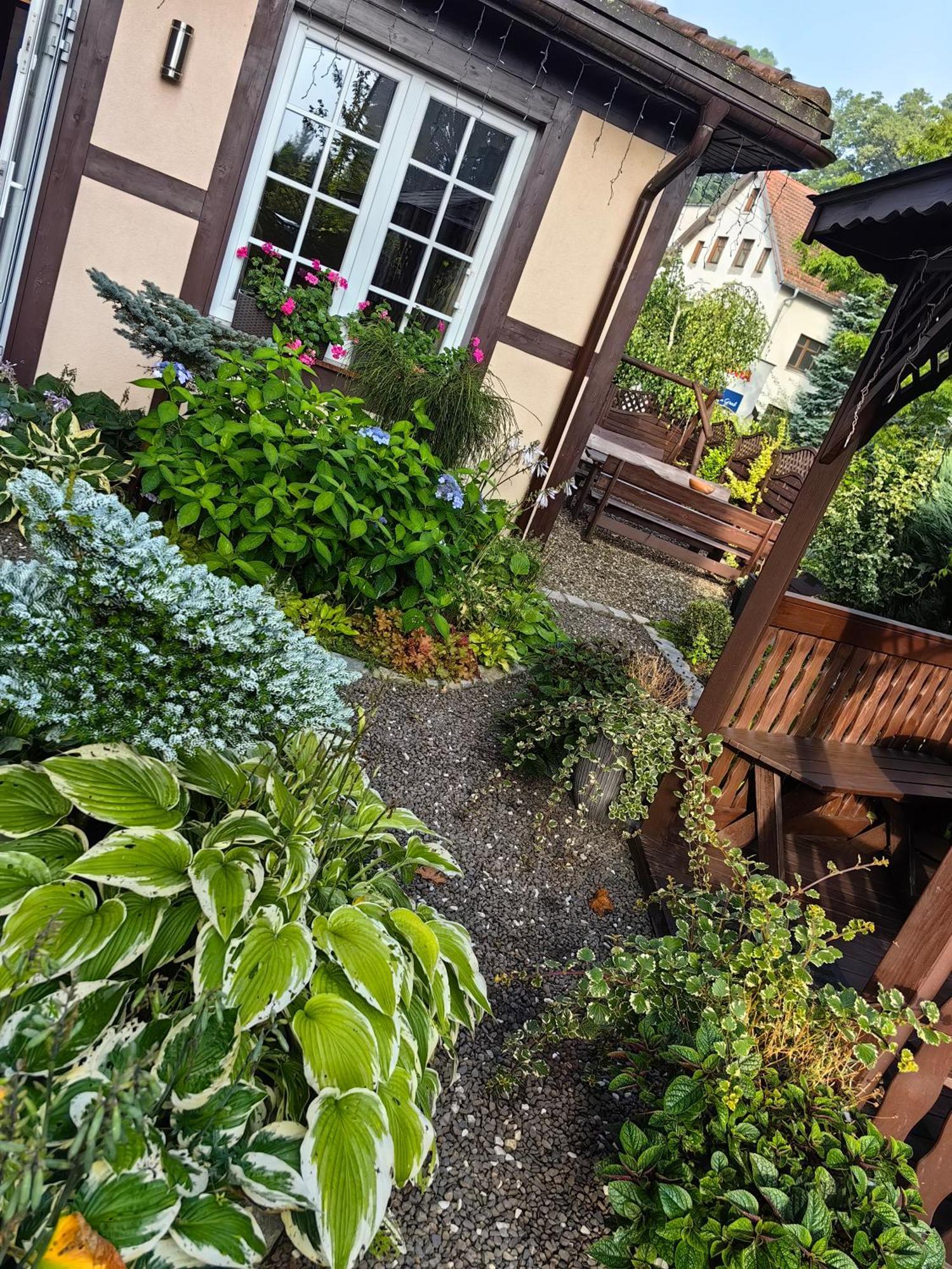 Willa San Remo Kudowa-Zdrój Exteriör bild